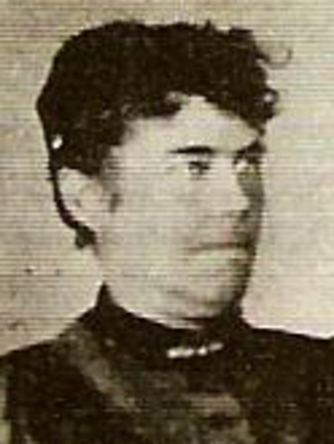 Ann Loueza Wade (1846) Profile